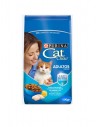 CAT CHOW ADULTO PESCADO DEFENS BL500G