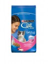 CAT CHOW GATITOS DEFENSE BL500GR