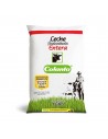 LECHE COLANTA ENTERA BL1000CC