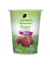 YOGURT COLANTA MORA VSO200G x UND