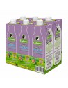 LECHE COLANTA DESLACTOSADA SEMIDESCREMADA SIXPACK TB1lt c/u