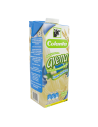 AVENA COLANTA NATURAL TETRABRIK 1 LITRO