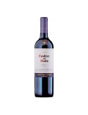 VINO CASILLERO DIABLO MERLOTx750