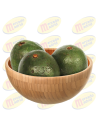 AGUACATE INJERTO KILO