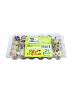 HUEVOS DE CODORNIZ CODORNICES DE ANTx24U